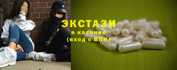 стаф Аркадак