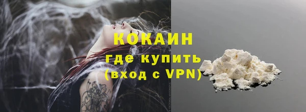 стаф Аркадак