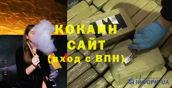 стаф Аркадак