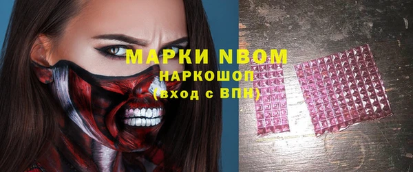 стаф Аркадак
