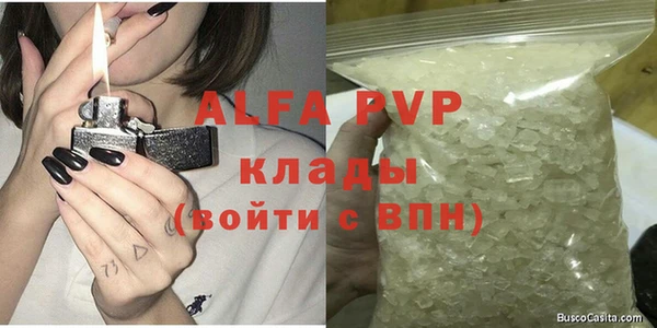 стаф Аркадак