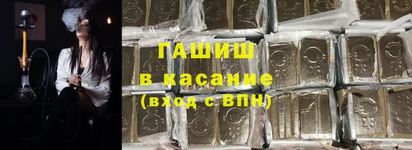 стаф Аркадак