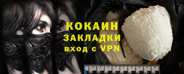 стаф Аркадак