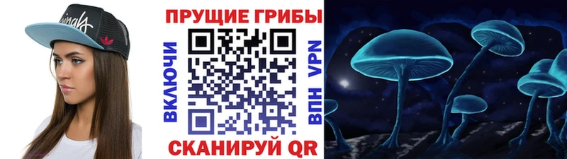 omg вход  darknet официальный сайт  Псилоцибиновые грибы прущие грибы  Гороховец 